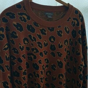 Eddie Bauer Brown and Black Knit Sweater